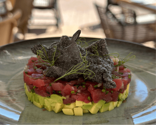 Avocado dish served on a plate